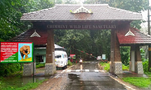 Chimmony Trekking – Wildlife & Forest Trails