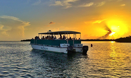 Sunset Boat Cruise – Tranquil Backwater Experience