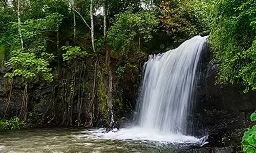 Vattayi Waterfalls – Hidden Monsoon Gem