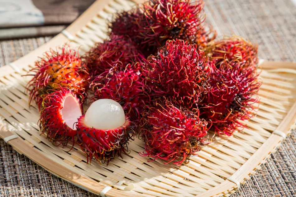 Rambutan & Mangosteen